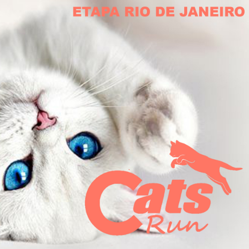 CATS RUN RJ 2026
