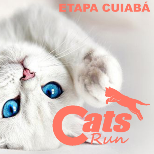 CATS RUN MT 2027