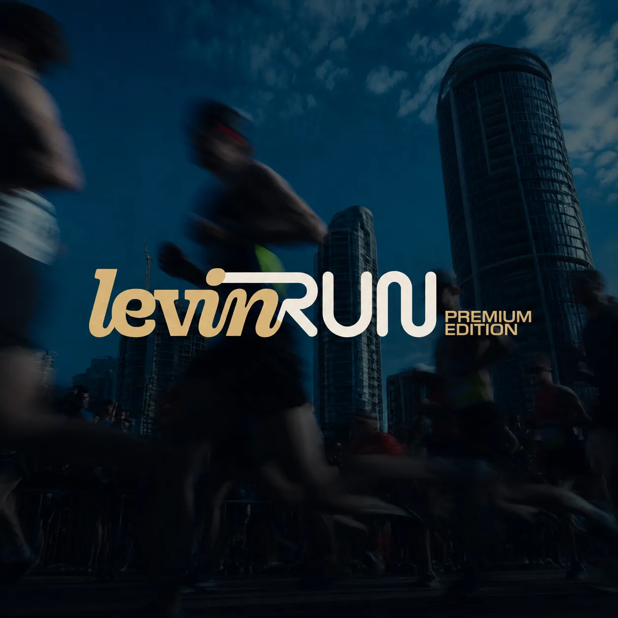 LEVIN RUN