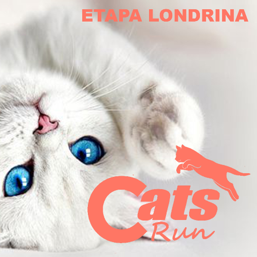 CATS RUN PR 2027
